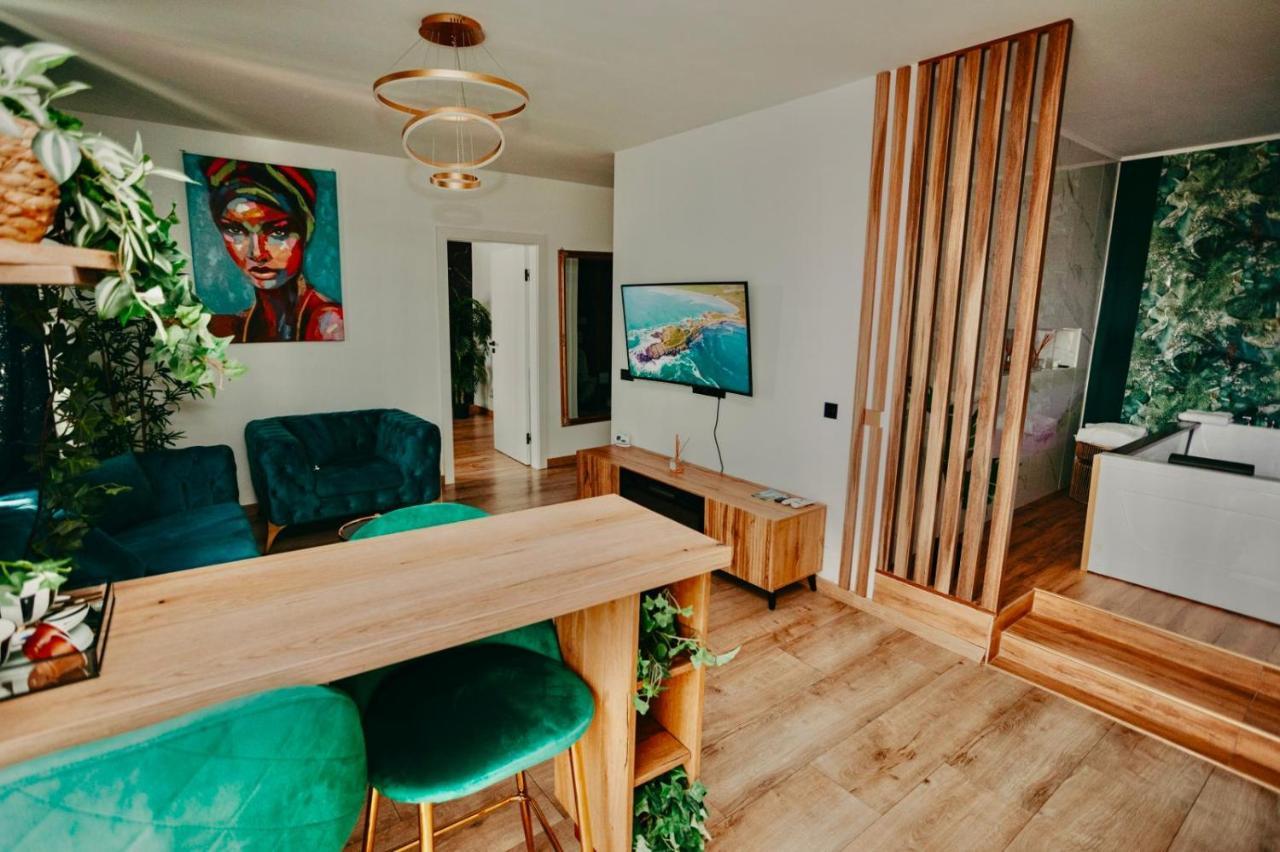 Jacuzzi Apartment Baia Mare Exterior photo